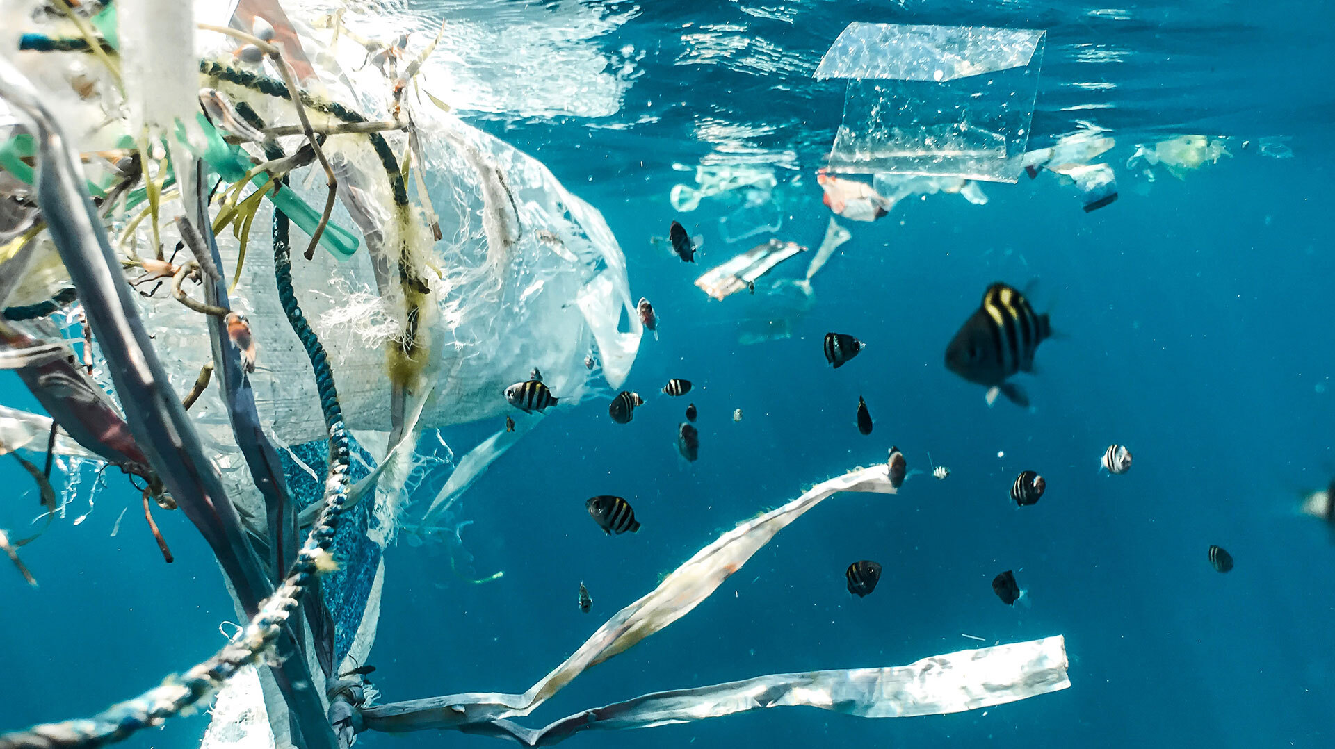 5 inventions that could transform the health of our ocean