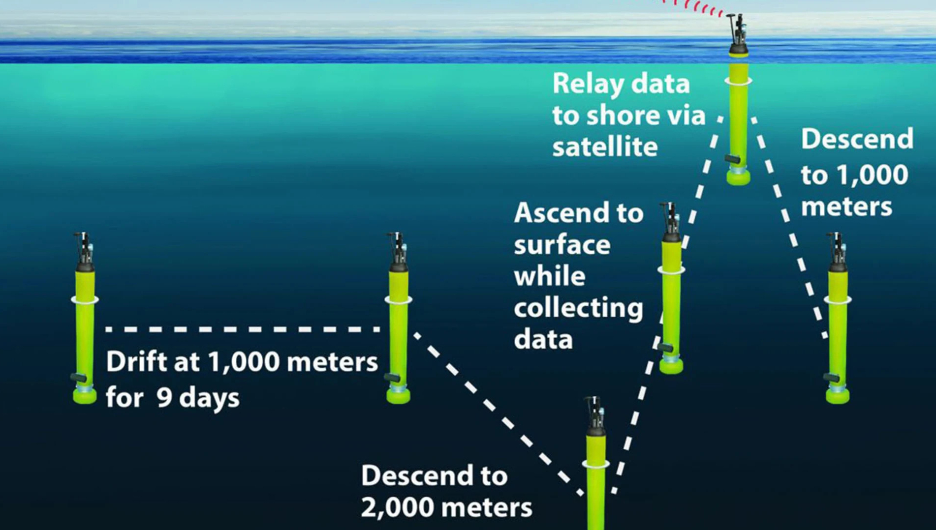 A new look at ocean health and global carbon cycle using robotic floats
