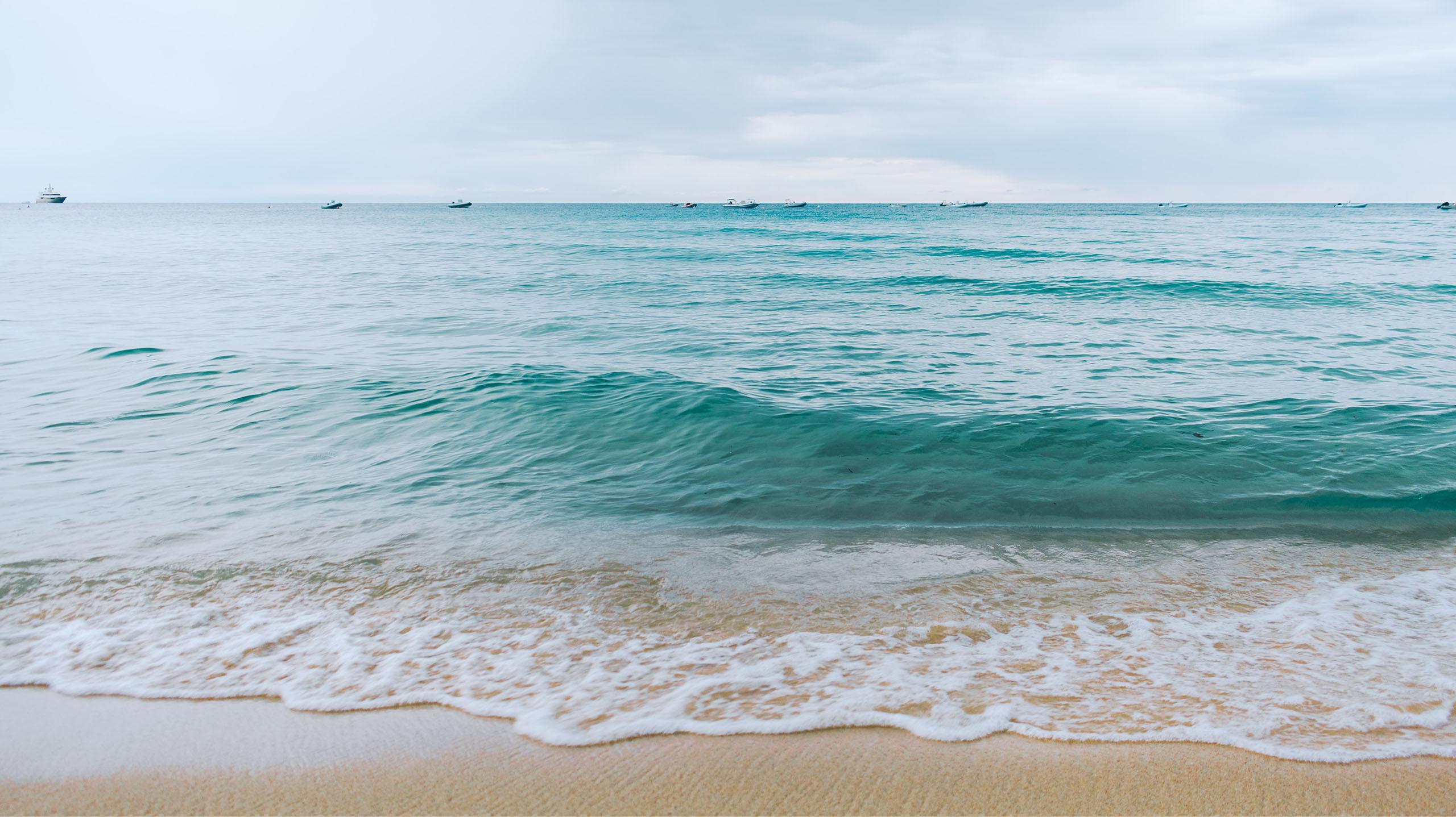 Understanding Our Oceans: AKA “Earth’s Heart and Lungs”